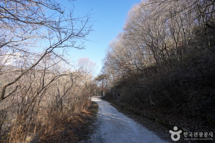 회남재 숲길