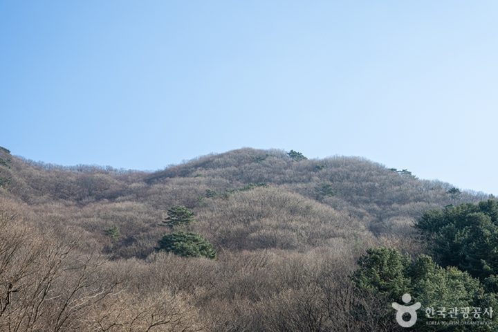 축령산