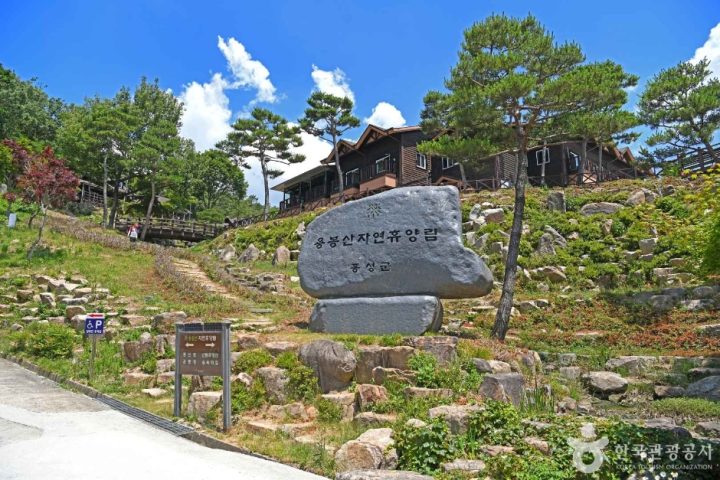 용봉산