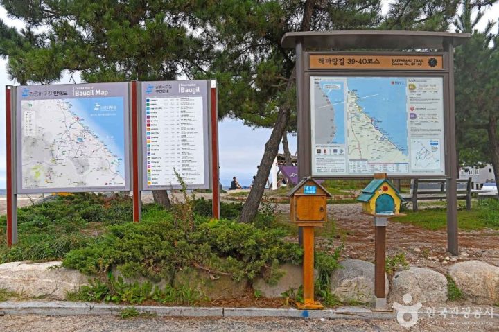 바우길 5구간