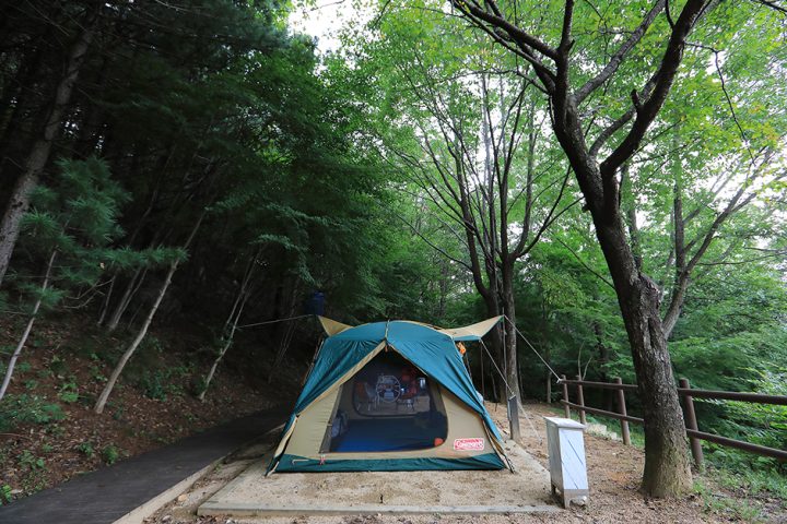 가야산