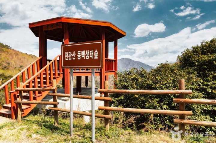 천관산