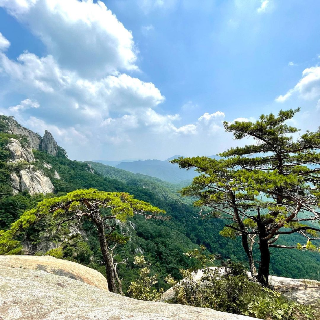 용화산
