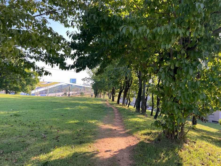 임당동고분군_임당토성위 산책로