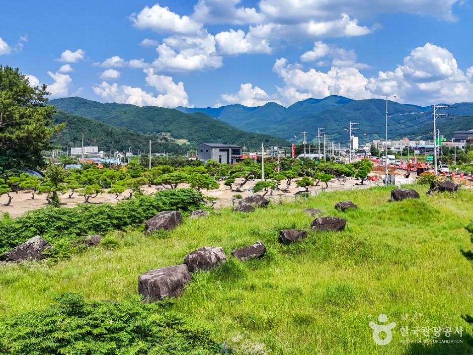 청도_청도 범곡리 지석묘군 (5)