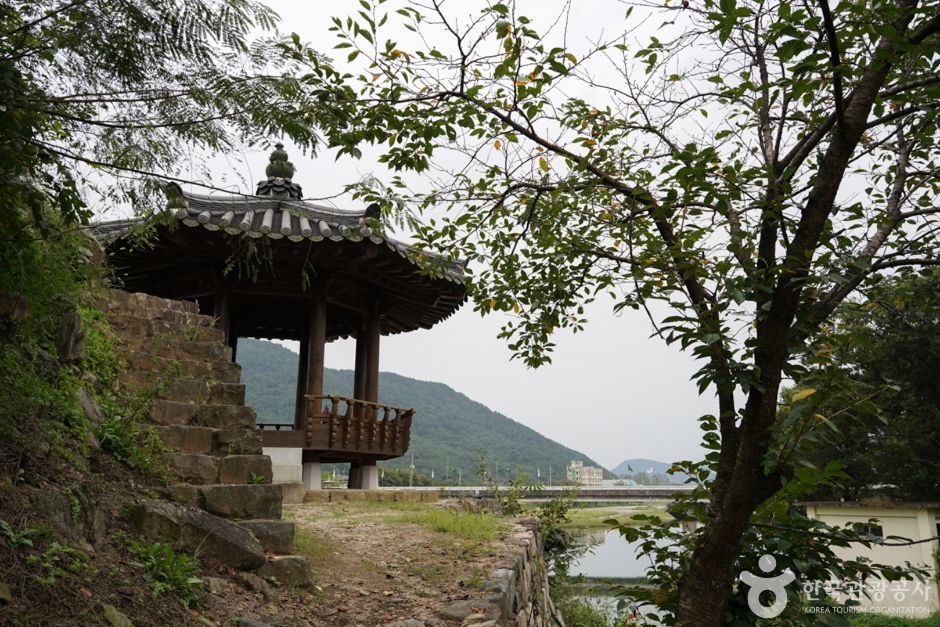 청도 삼족대 (7)