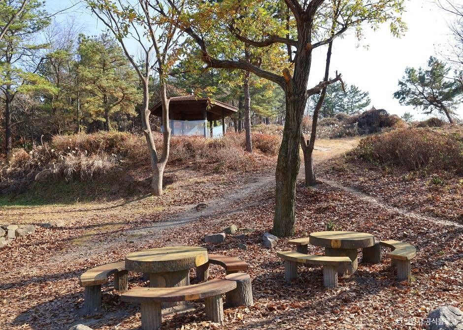 밀양_추화산성 (6)