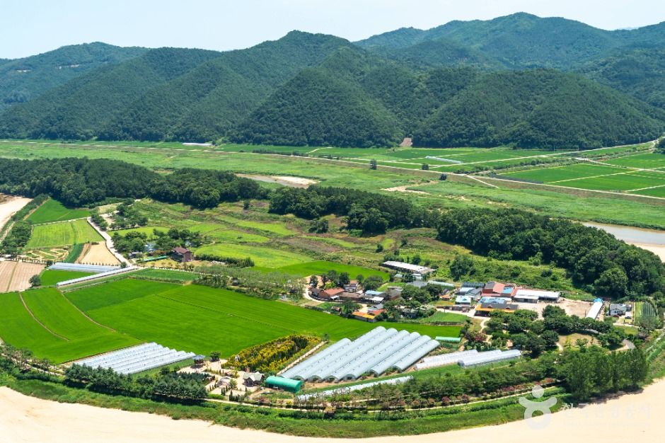 예천_회룡포 (3)