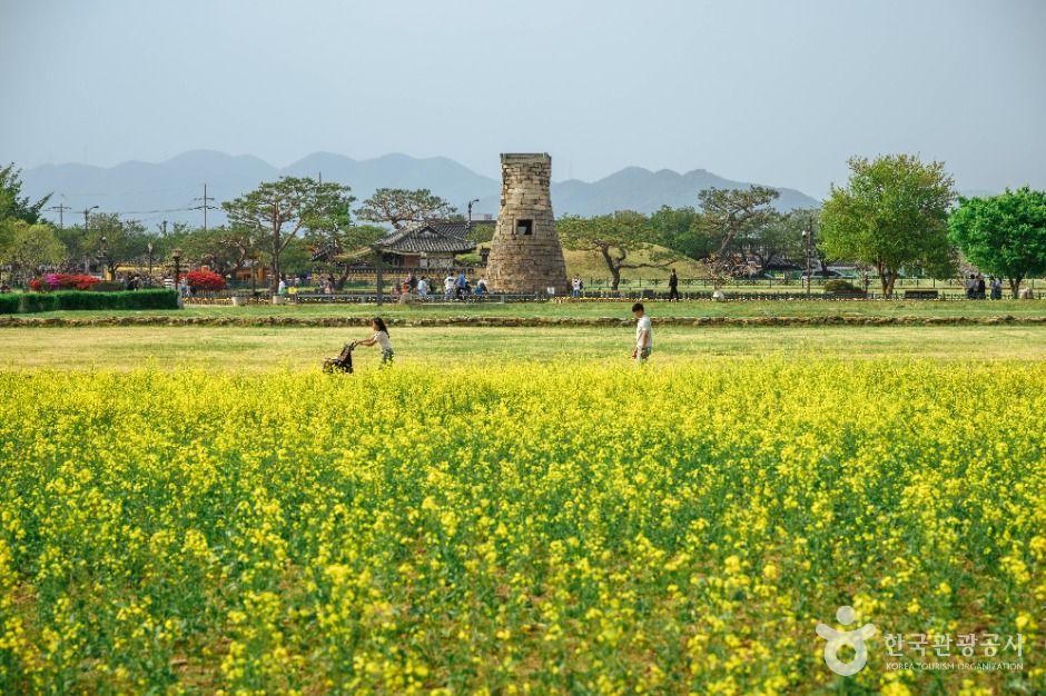 첨성대 (3)