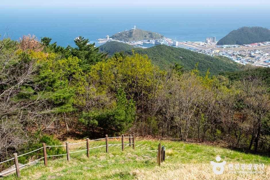 경북_영덕_대소산봉수대_외부_5.jpg
