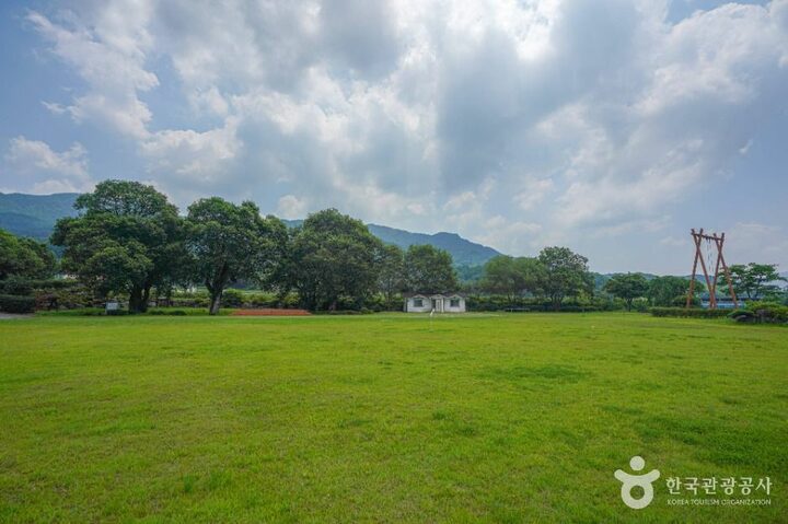 산청_산청 실매리 왕버드나무군(금포림) (4)