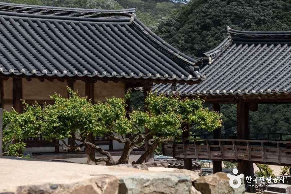 경북_안동_병산서원_외부_2.JPG