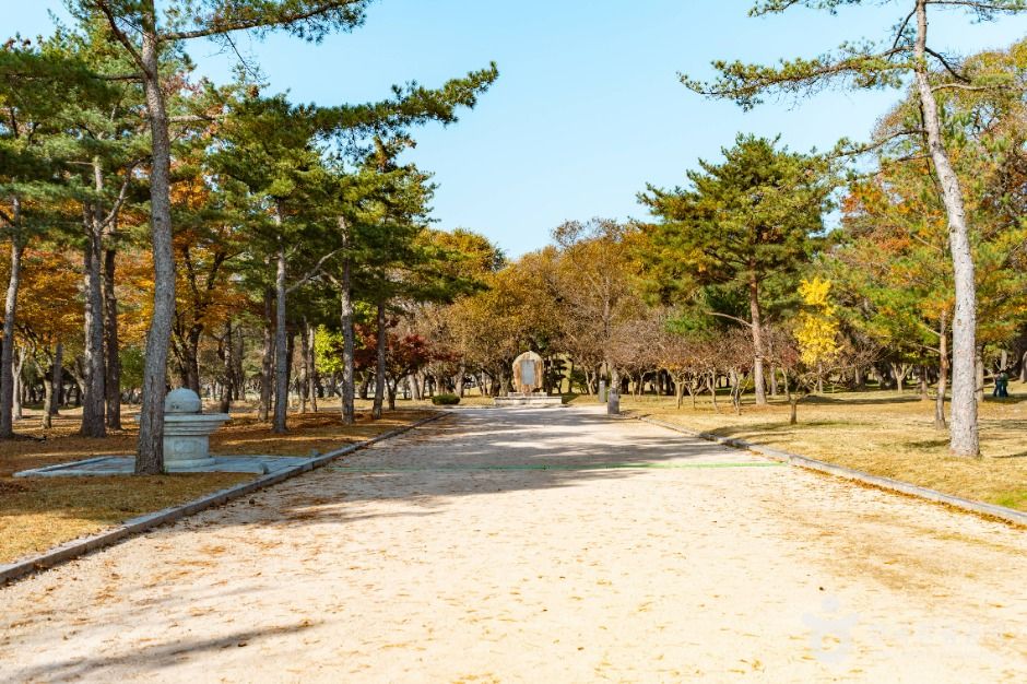 경주_경주 오릉 (2)