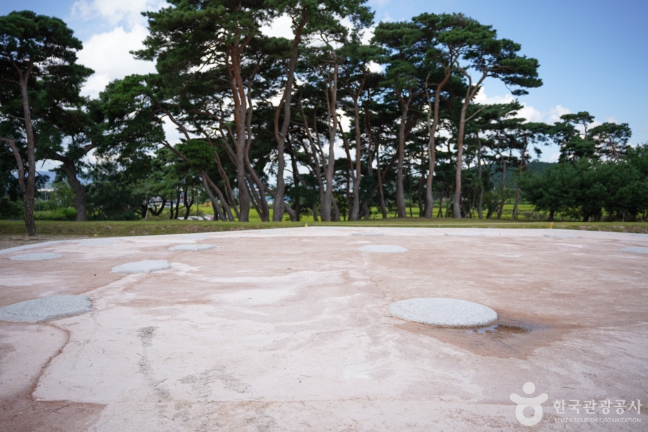 경북_경주_경주 나정 (5)