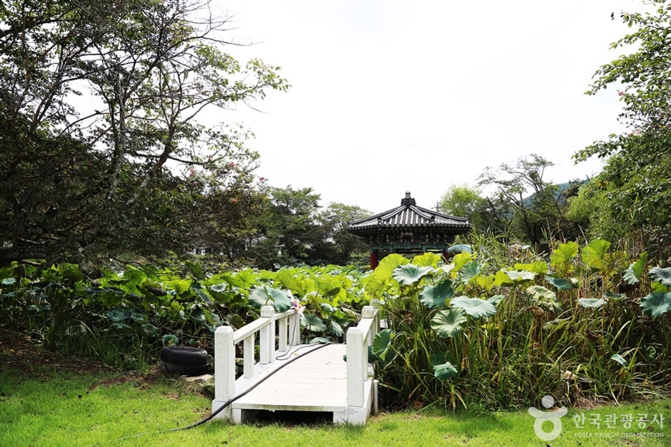 경남_진주_용호정원 (4)