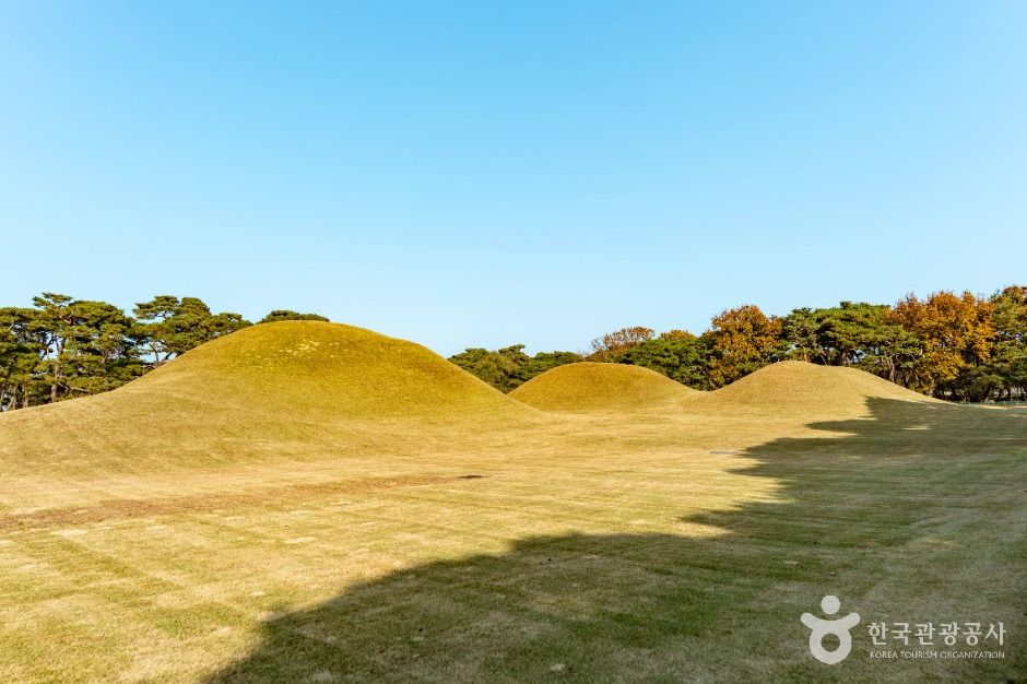 경주_경주 오릉 (3)