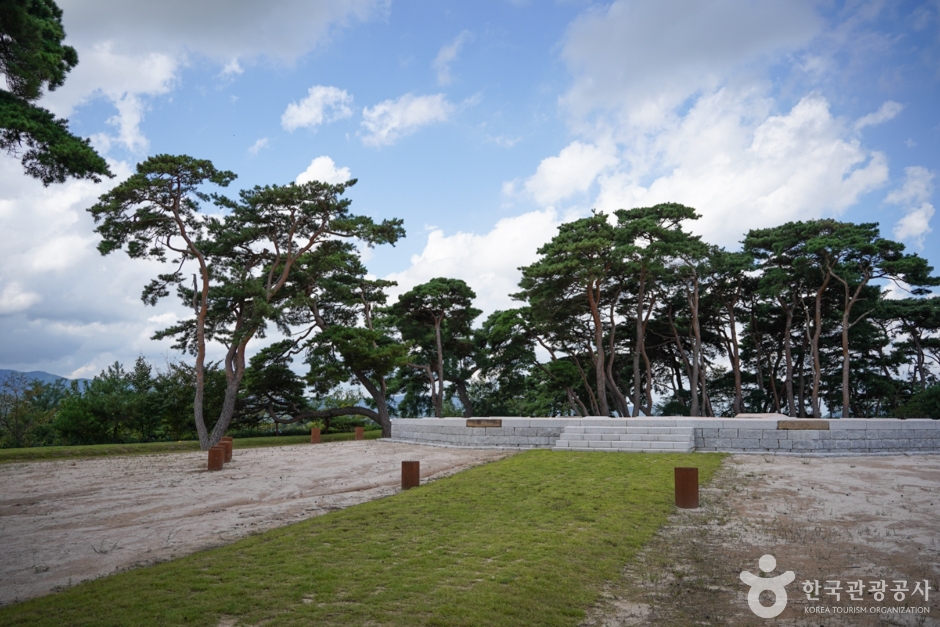 경북_경주_경주 나정 (6)