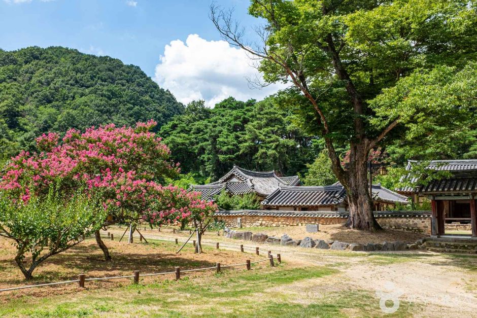 성주_회연서원 (7)