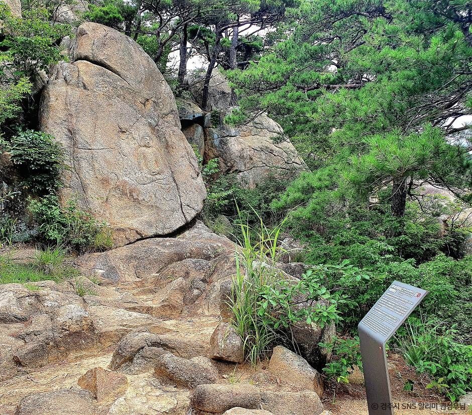 경주_경주 남산 용장사지 마애여래좌상 (4)