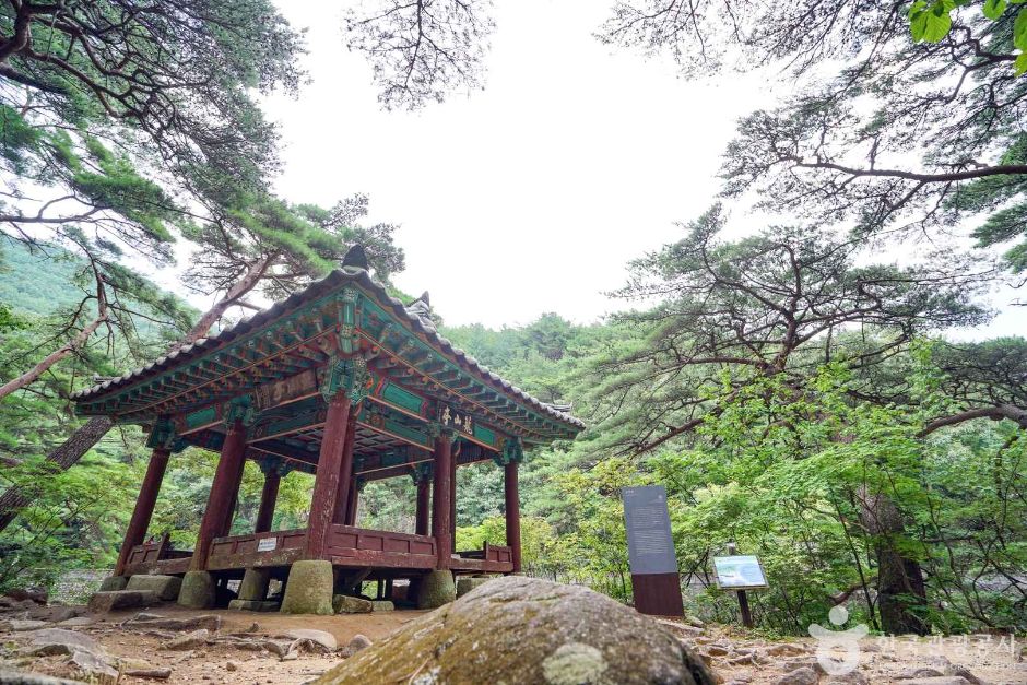 농산정 (5)