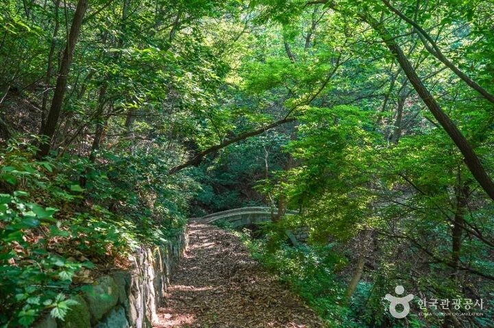 거창_거창 둔마리 벽화 고분 (3)