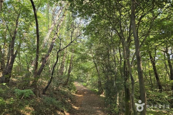 창원 진례산성_e (3)