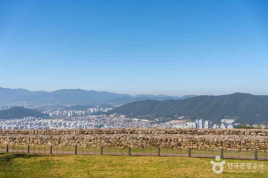 분산성 (5) 