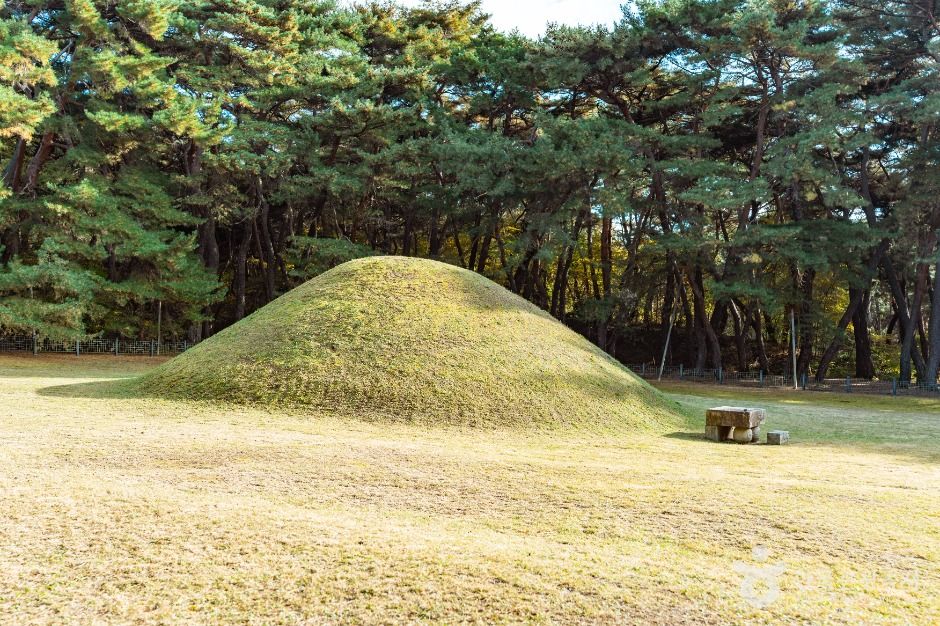 경주_경주 경애왕릉 (2)
