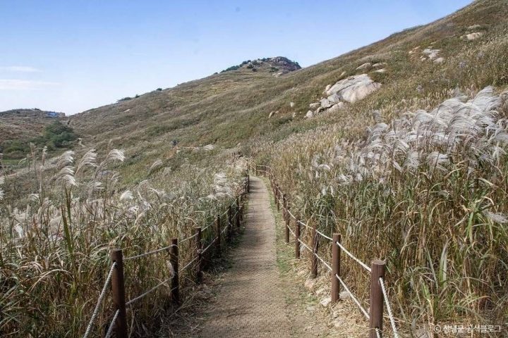 화왕산