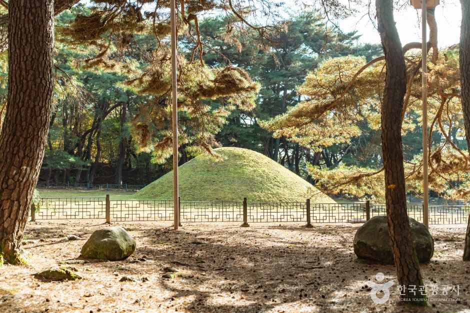 경주_경주 경애왕릉 (1)