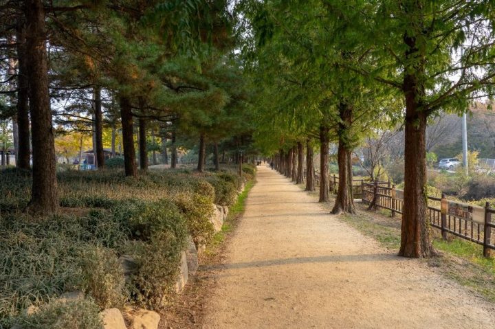 행주나루길