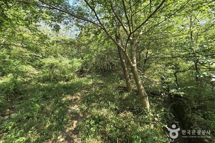 창원 진례산성_e (7)