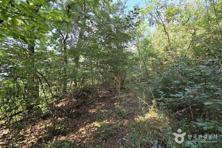 창원 진례산성_e (8)