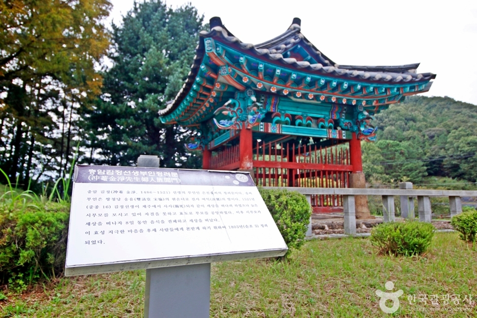 김정선생묘소일원 (4)