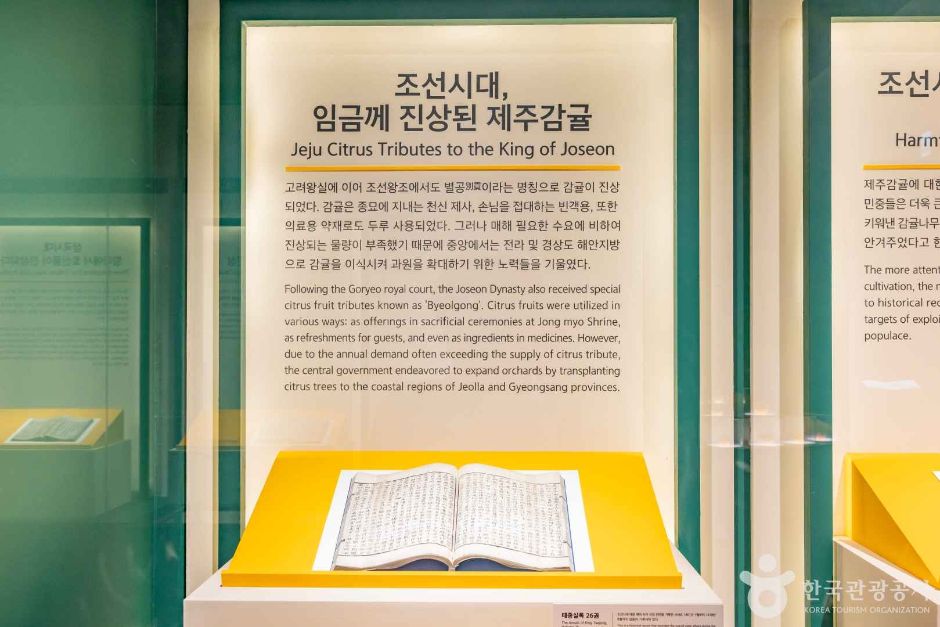 서귀포_감귤박물관 (5)