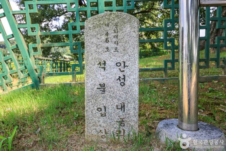 경기_안성_안성대농리석불입상 (7)