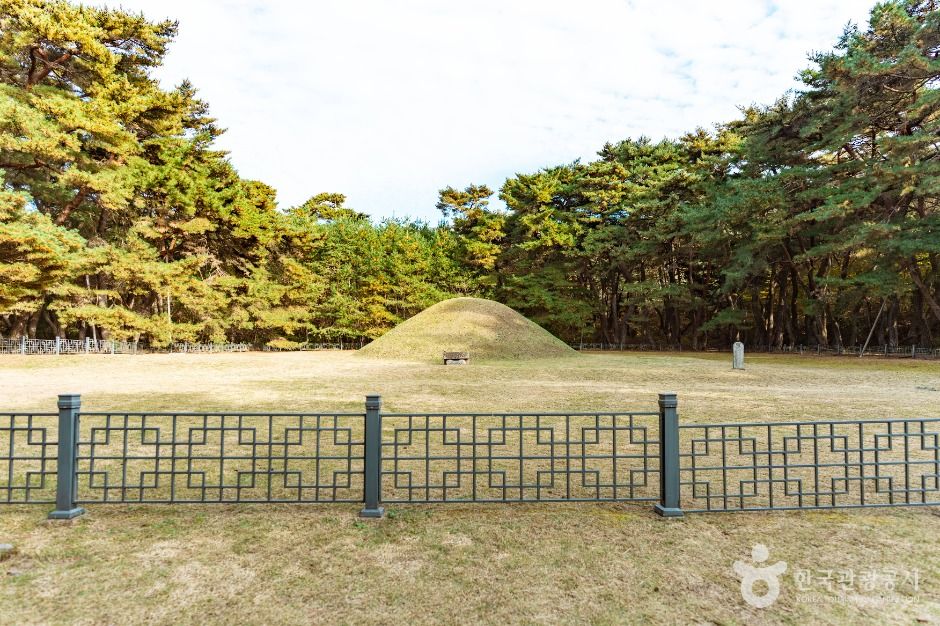 경주_경주 경애왕릉 (5)