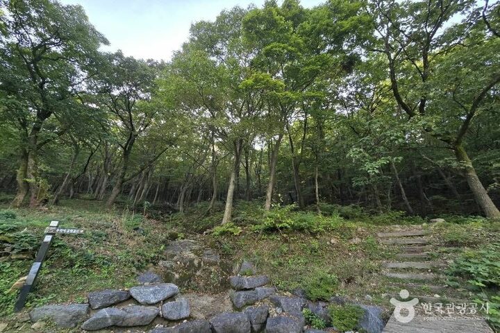 창원 진례산성_e (15)