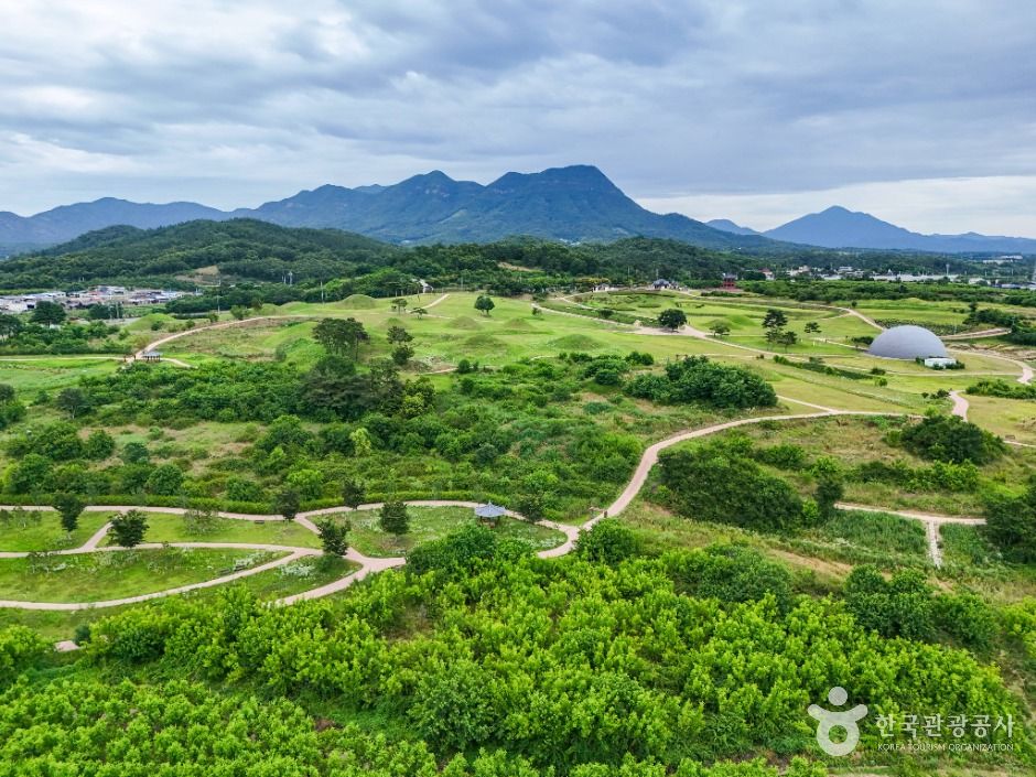 의성_의성 금성산 고분군 (3)