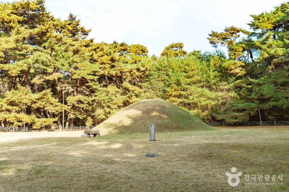 경주_경주 경애왕릉 (4)