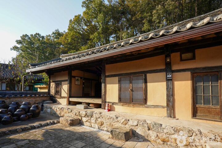 치헌 (5)