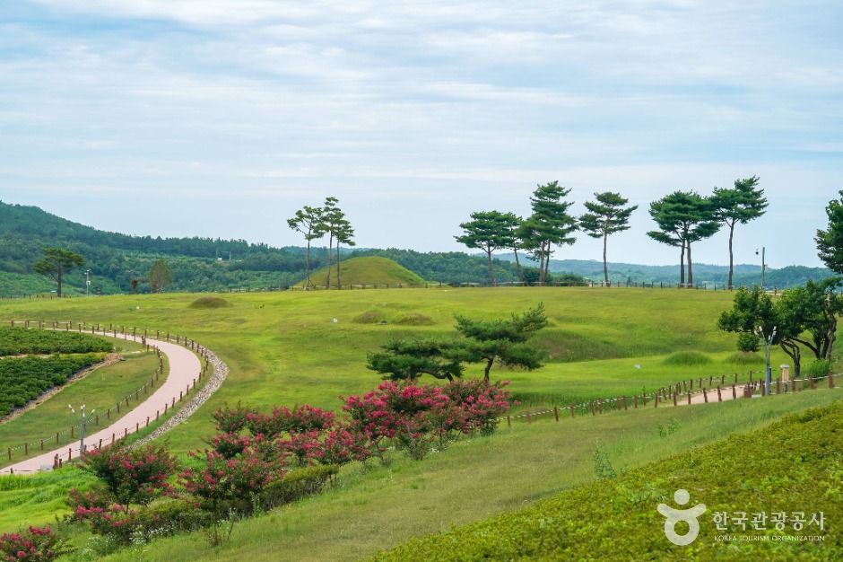 의성_의성 금성산 고분군 (5)