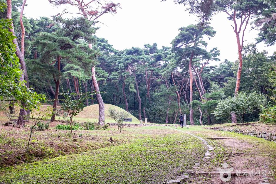경주_경주 법흥왕릉 (2)