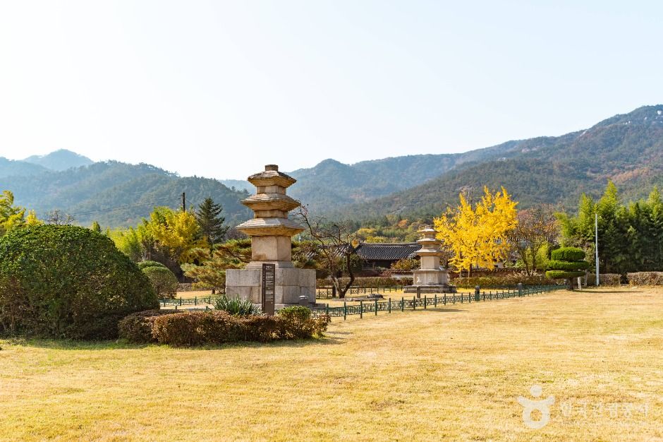 경주_경주 남산동 동ㆍ서 삼층석탑 (1)