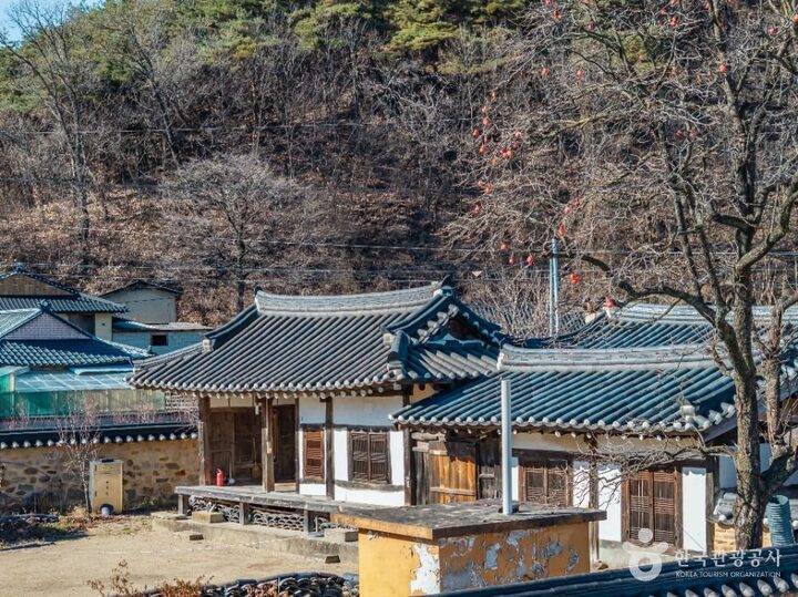 의성_의성 소계당 (8)