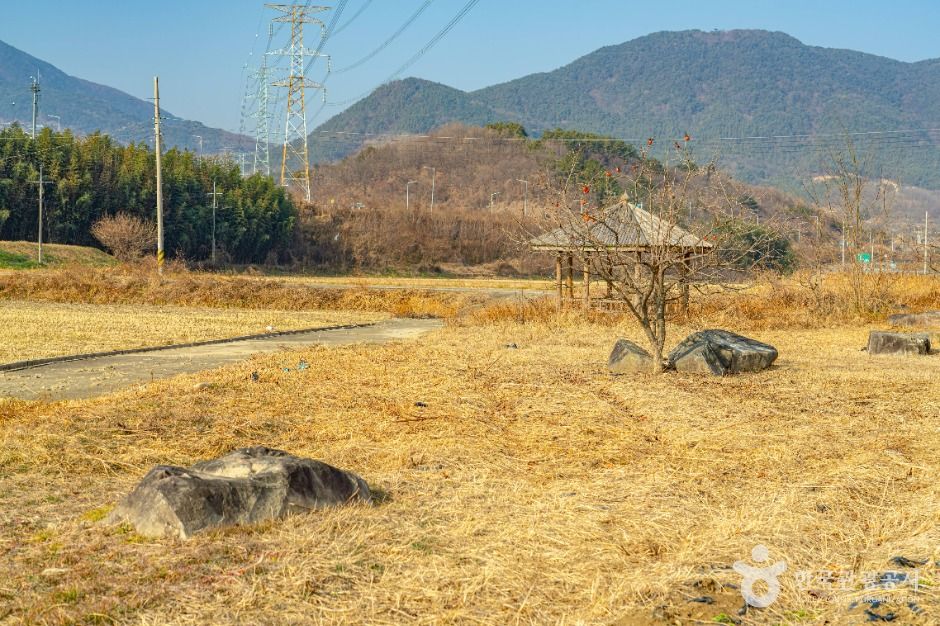 산청_산청특리지석묘군 (2)