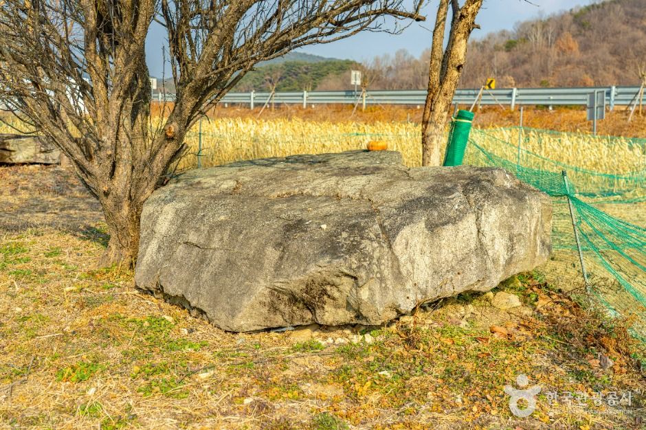 산청_산청특리지석묘군 (3)