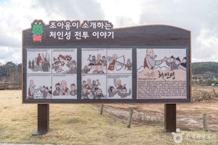처인성 (6)