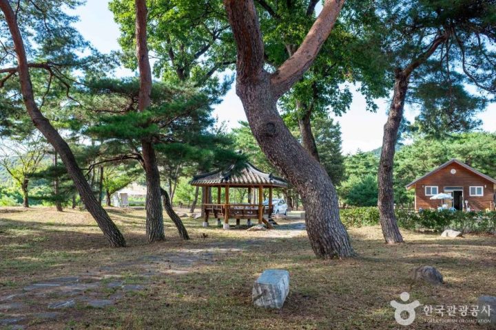 안동_백운정 (5)