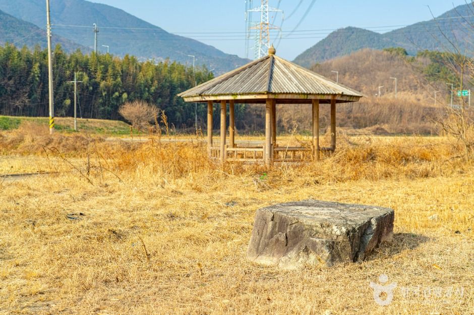 산청_산청특리지석묘군 (5)